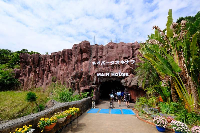 名護自然動植物公園－火烈鳥群