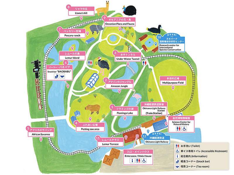名護自然動植物公園－動物互動